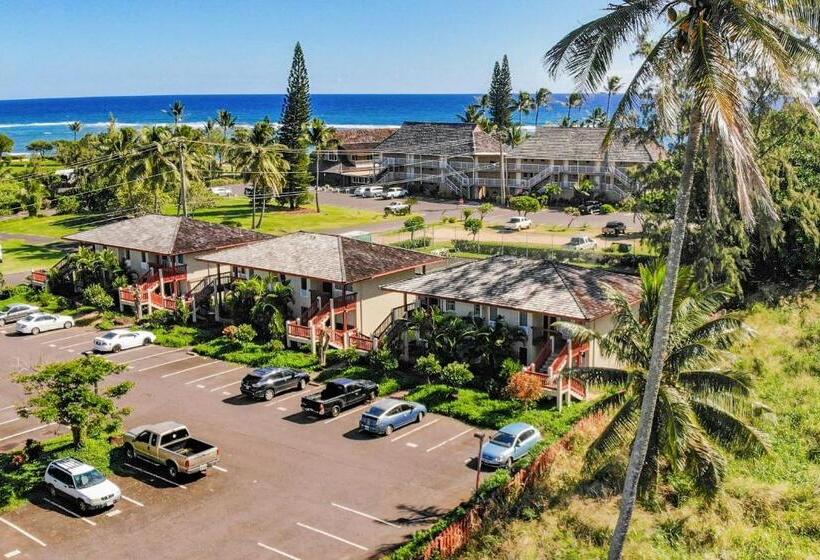 酒店 Village Manor A12