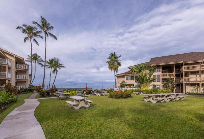 فندق Alii Villas 201