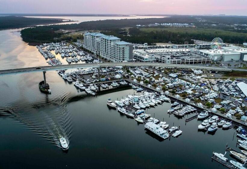 فندق Back Bay Condominium #708