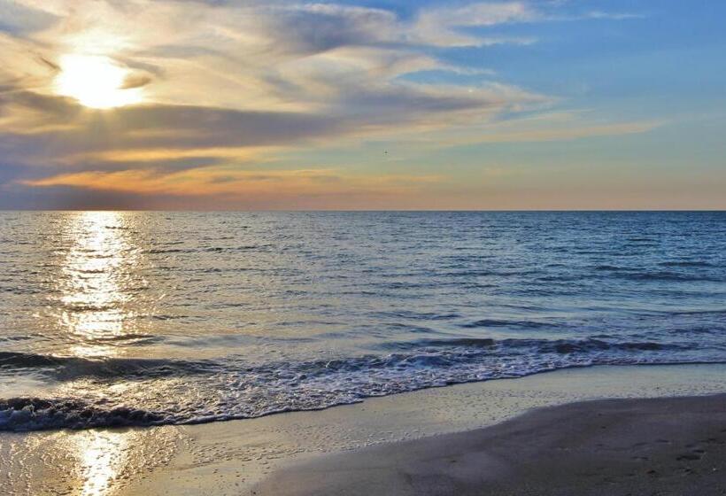 فندق Reflections On The Gulf 505