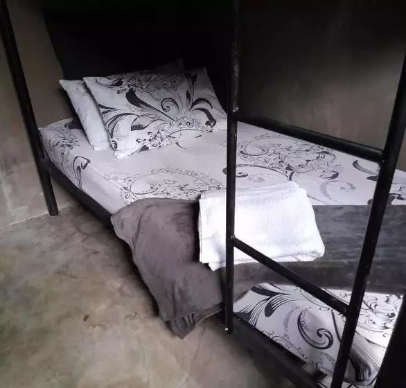 تختخواب و صبحانه Duma Hostel