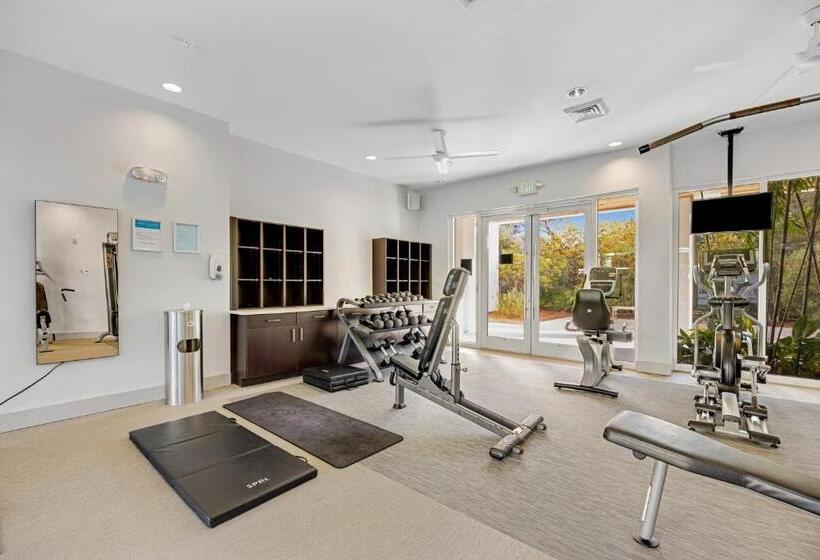 فندق Paradise Palms   The Pointe 336