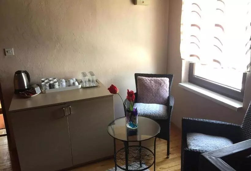 پانسیون Villa Irena