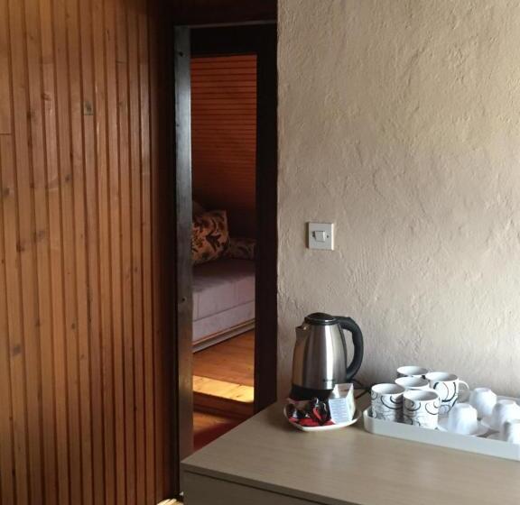 پانسیون Villa Irena