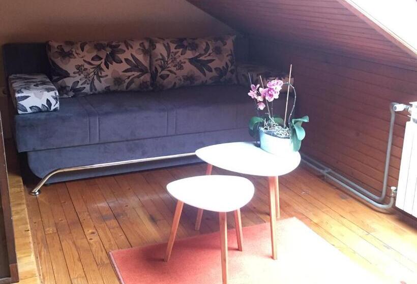 پانسیون Villa Irena