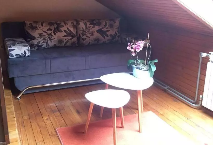 پانسیون Villa Irena