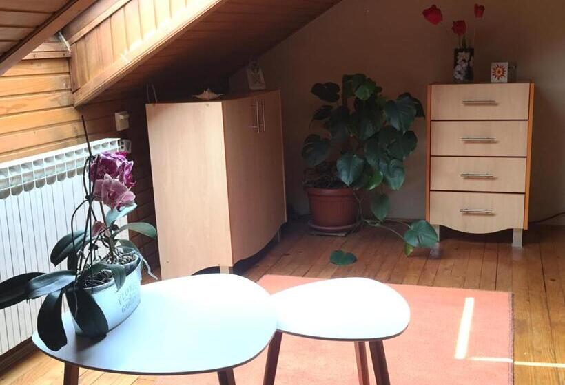 پانسیون Villa Irena