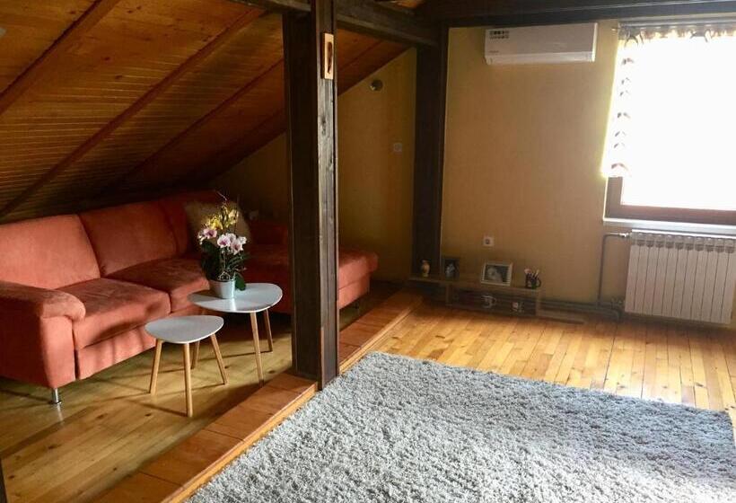 پانسیون Villa Irena