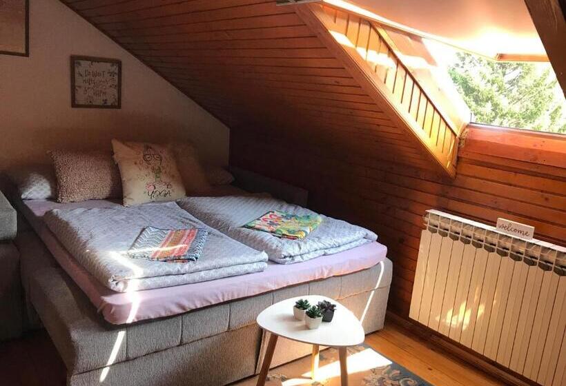 پانسیون Villa Irena