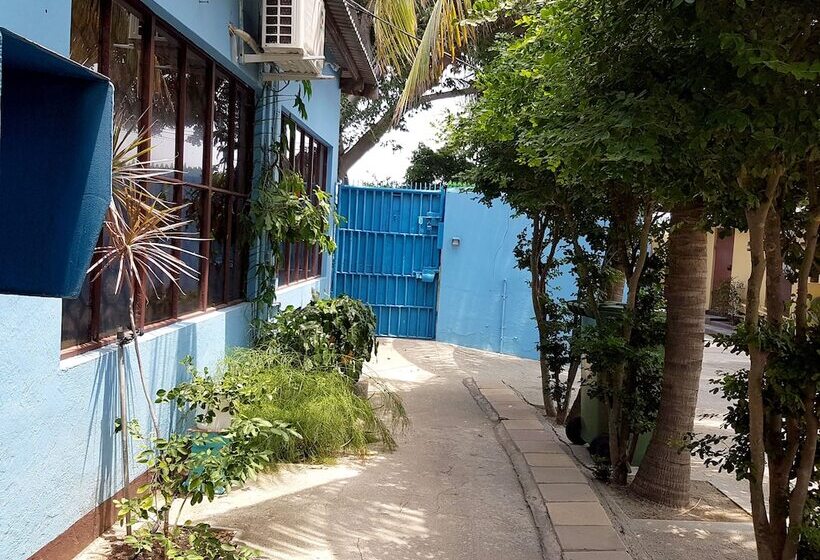 Apartamentos Cecil Paradise