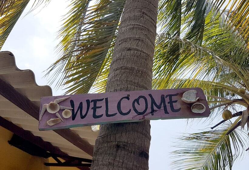 Apartamentos Cecil Paradise