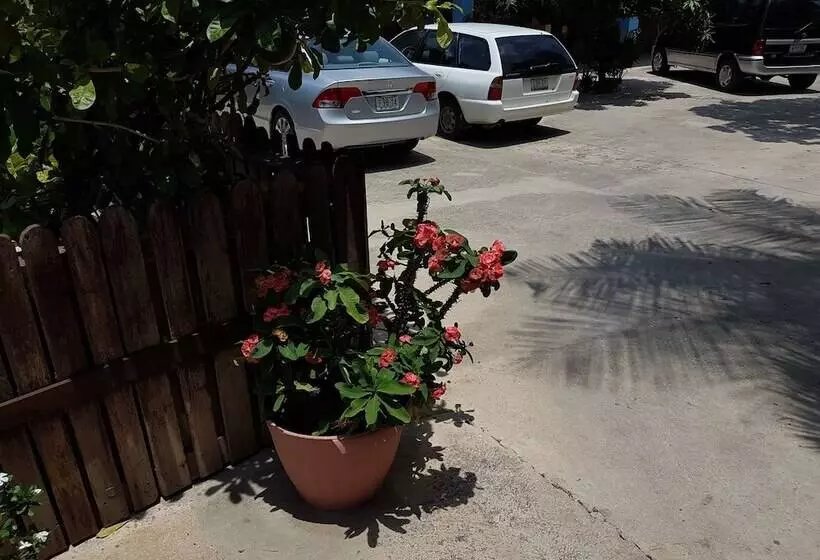 Apartamentos Cecil Paradise