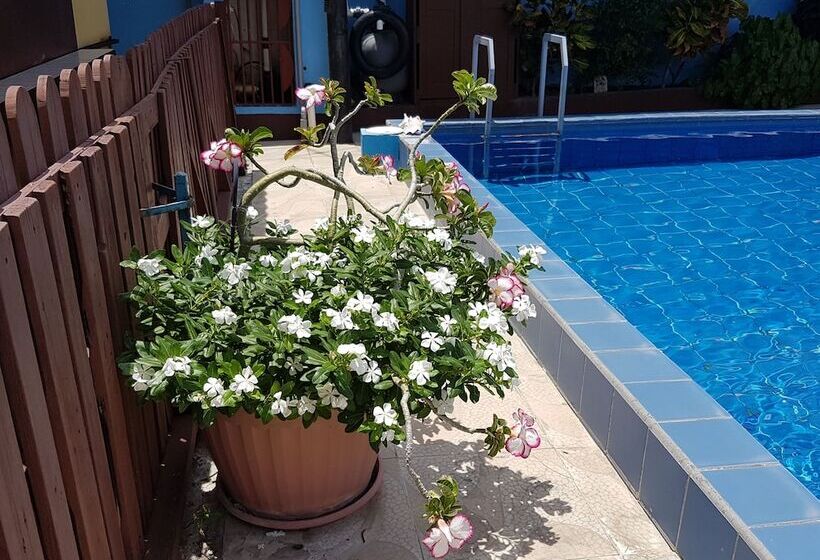 Apartamentos Cecil Paradise