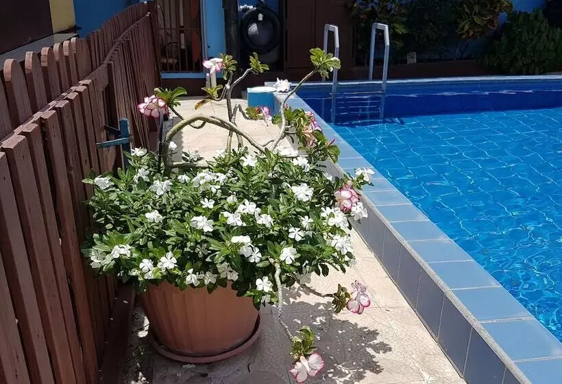 Apartamentos Cecil Paradise