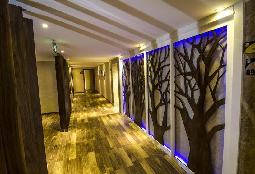 בית מלון כפרי Grand Terme