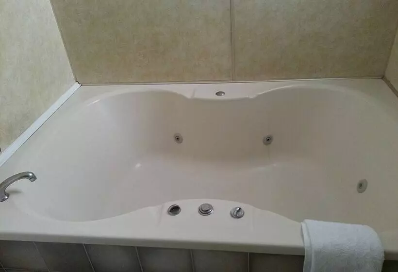 Hotel Ace Motor Lodge