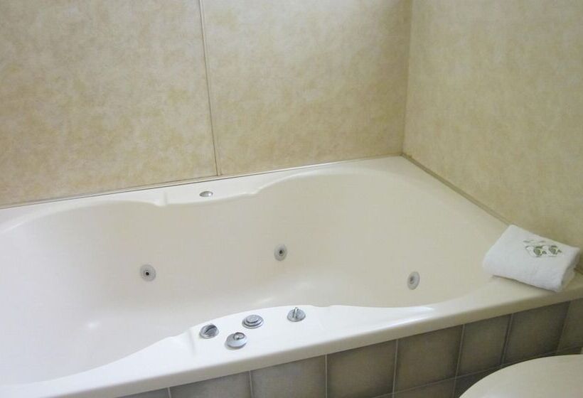 Hotel Ace Motor Lodge