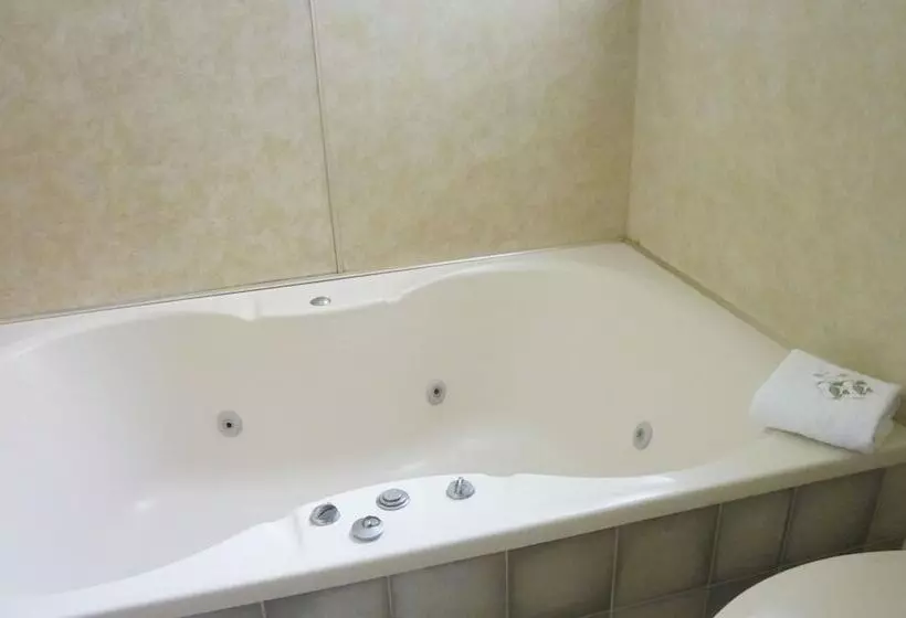 Hotel Ace Motor Lodge