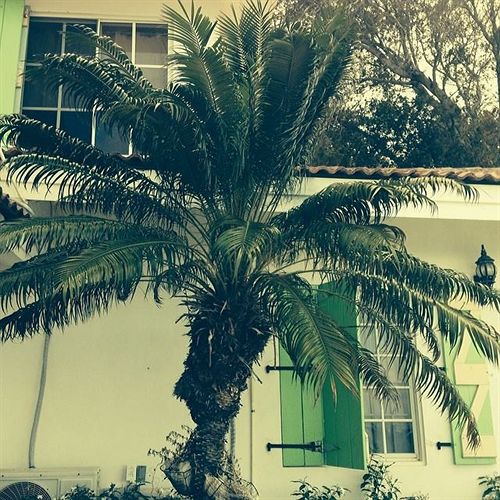 هتل Habitation Jouissant