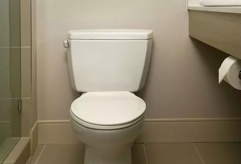 酒店 Hilton Garden Inn Miami South Beach