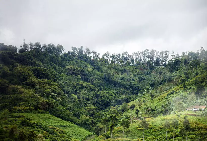 Kencana Villa Dago Private Pool