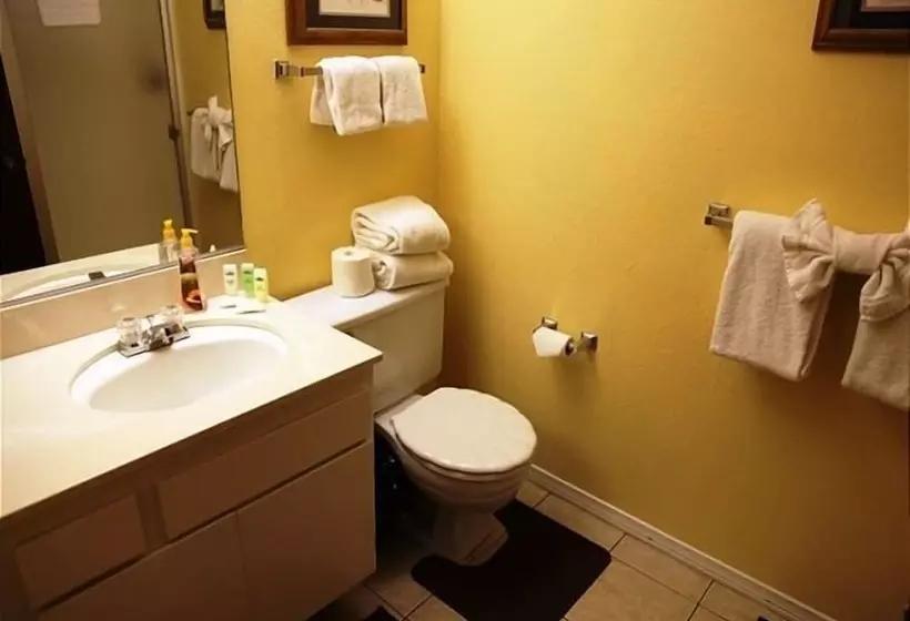 Mammoth Mountain Reservations Condo Collection