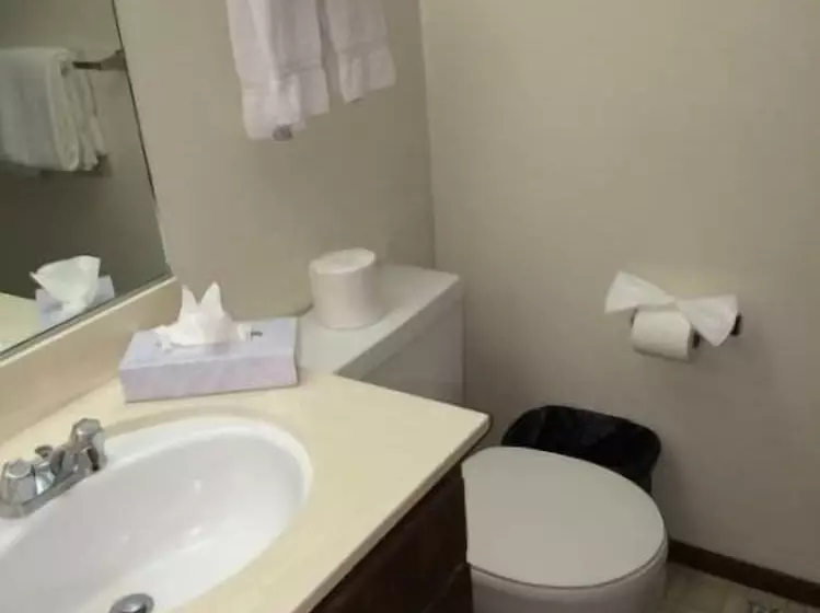 Mammoth Mountain Reservations Condo Collection