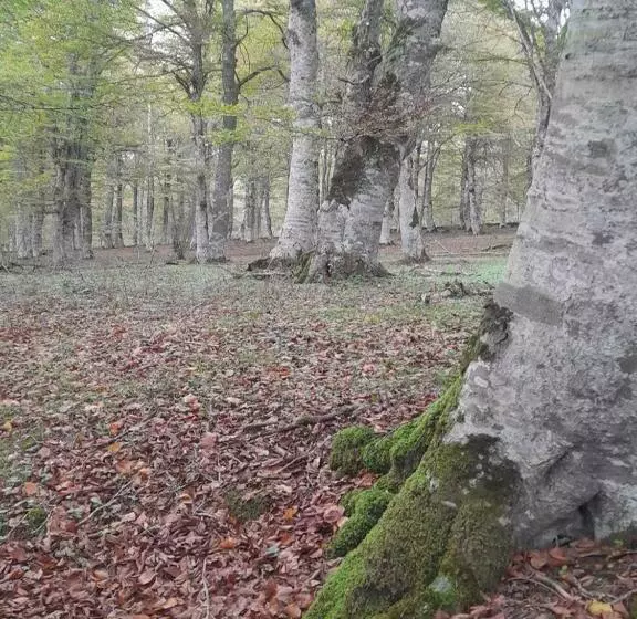ホテル Rural Teodosio De Goñi