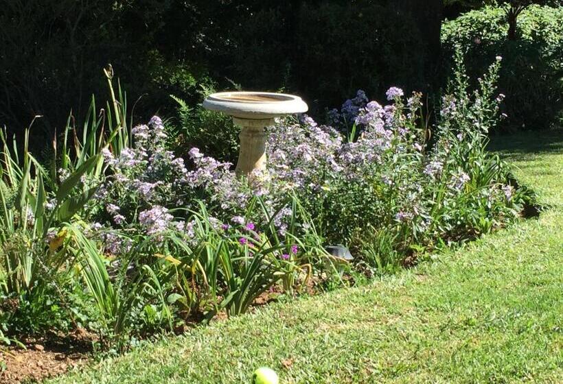 ペンション King S Hill Guest House