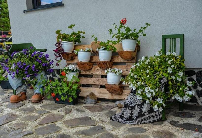 Pensiunea Agroturistică Magdalina