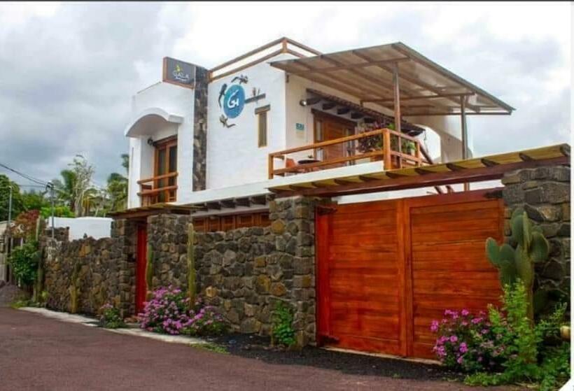 פנסיון Nuevo Gala House