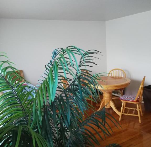 هاستل 320 Happy Home