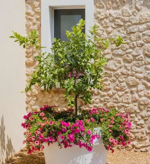 Aamiaismajoitus (B&B) Giallo Ficodindia