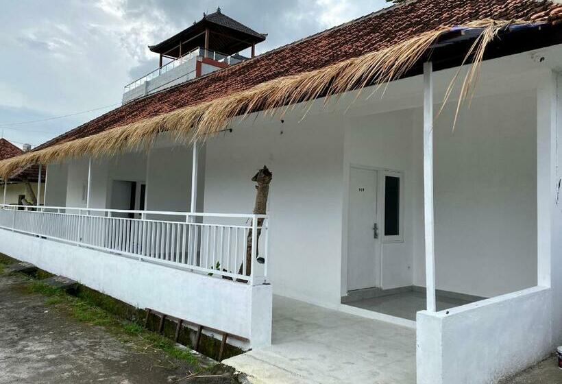 Hostel My Capsule Canggu