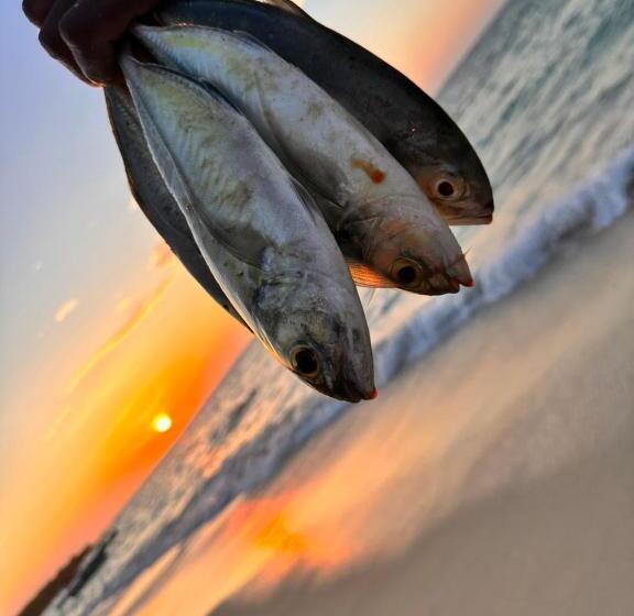 پانسیون Baru Hostel Club