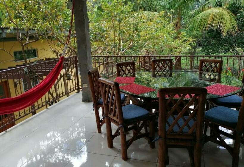 פנסיון Gaia Lodge