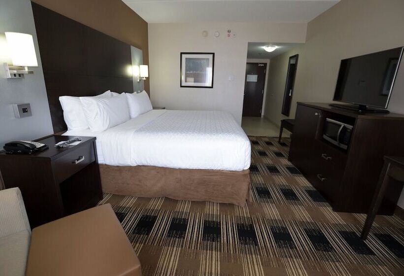 فندق Holiday Inn Express & Suites Ottawa East Orleans, An Ihg