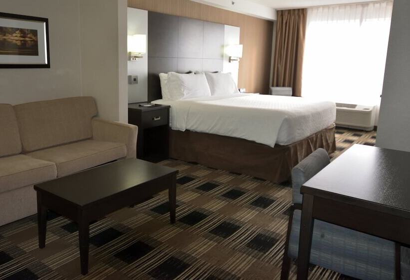 فندق Holiday Inn Express & Suites Ottawa East Orleans, An Ihg