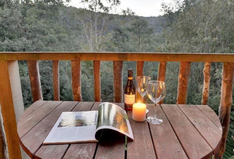 호텔 Lemonthyme Wilderness Retreat