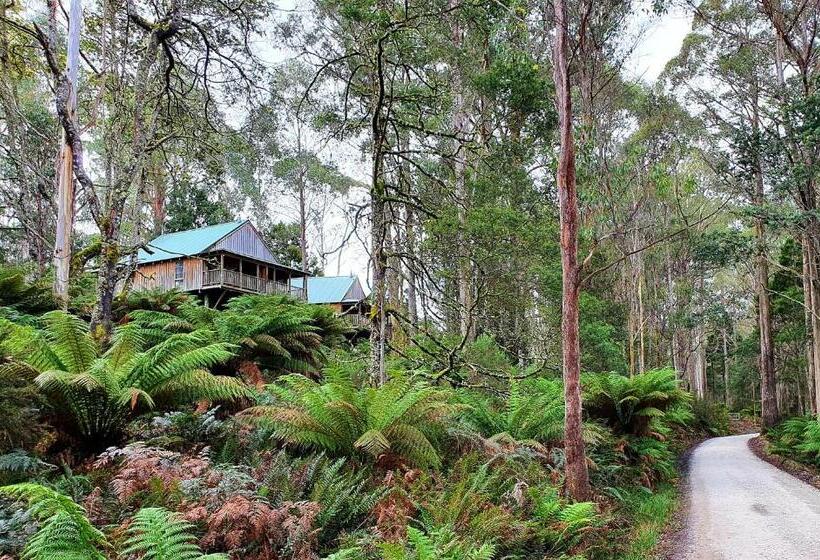 호텔 Lemonthyme Wilderness Retreat