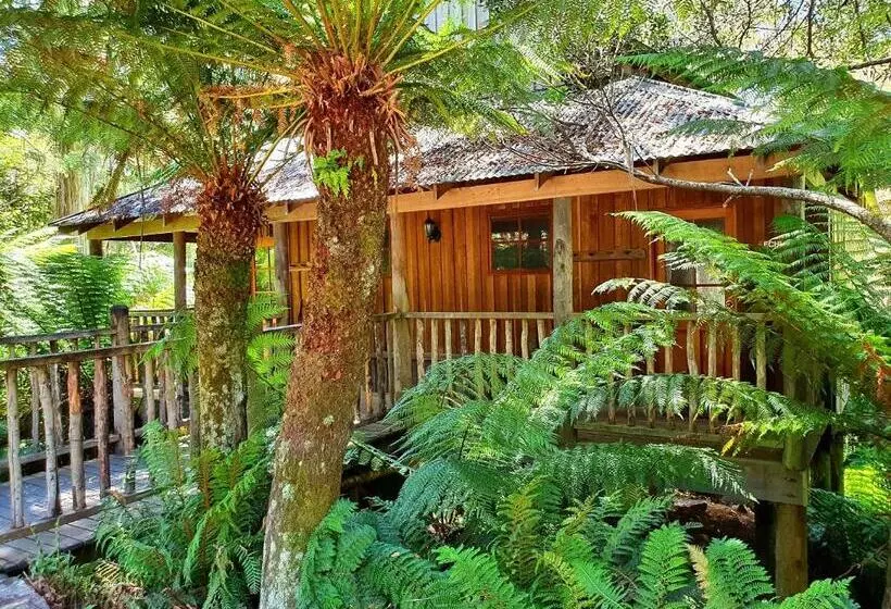 Отель Lemonthyme Wilderness Retreat