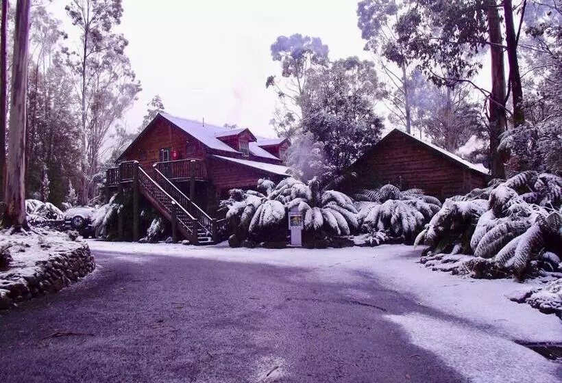 Отель Lemonthyme Wilderness Retreat