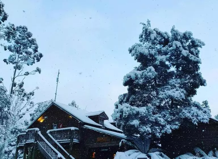 Отель Lemonthyme Wilderness Retreat