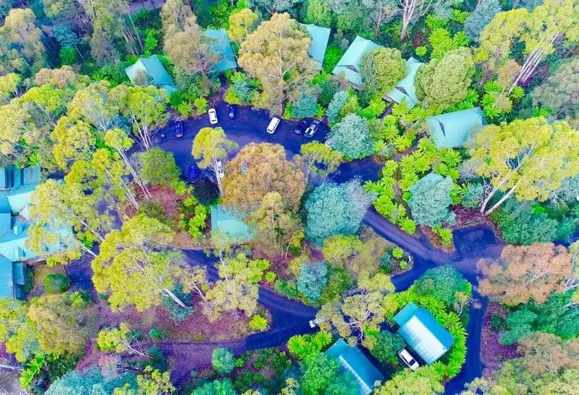 Отель Lemonthyme Wilderness Retreat