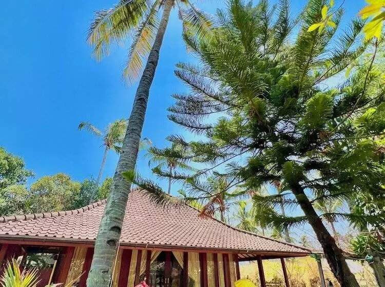 בית מלון כפרי Villa Bulan Madu Gili Air