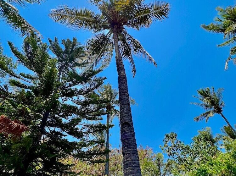 فندق Villa Bulan Madu Gili Air