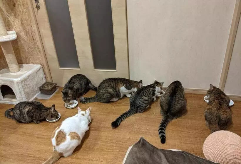 Hotelli Pension Alba   Vacation Stay 70925v