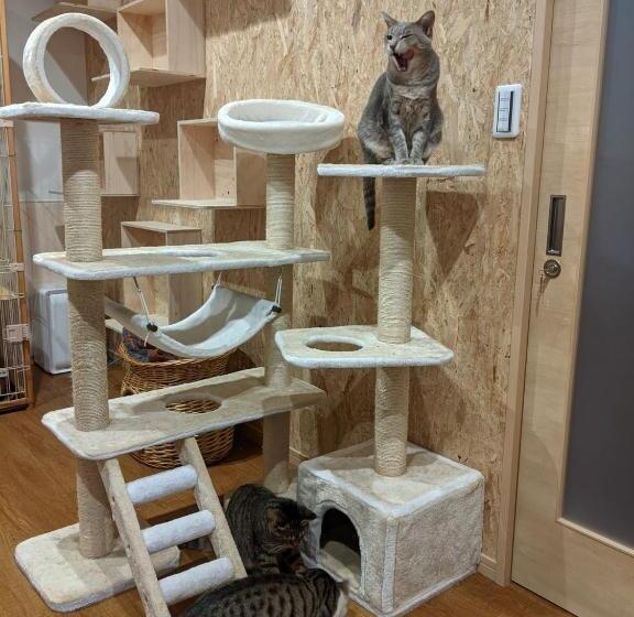 Hotel Pension Alba   Vacation Stay 70925v