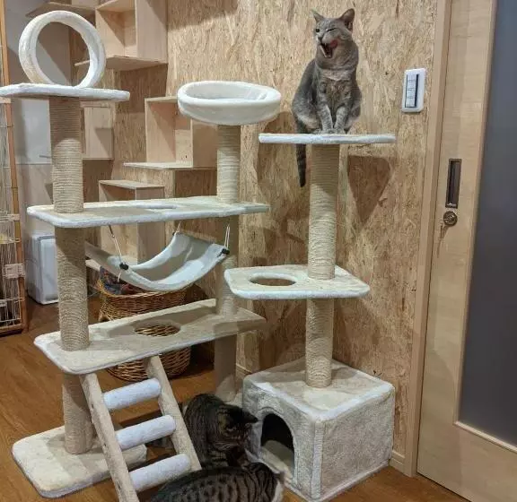 Hotelli Pension Alba   Vacation Stay 70925v