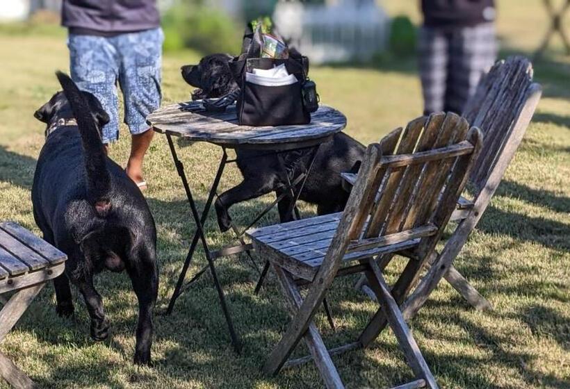 Hotel Pension Alba   Vacation Stay 70925v